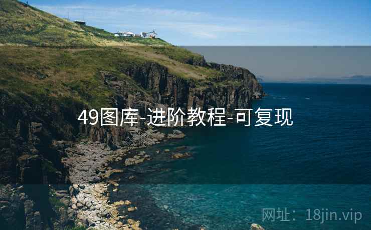49图库-进阶教程-可复现